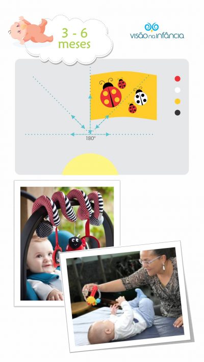 infográfico com principais marcos do desenvolvimento visual e alertas entre 3 e 6 meses