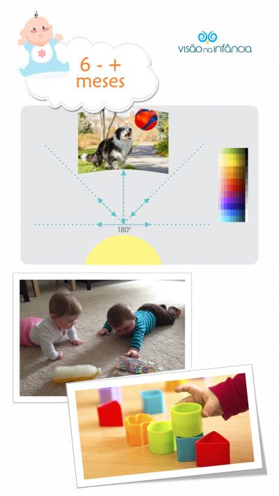 infográfico com principais marcos do desenvolvimento visual e alertas a partir dos 6 meses